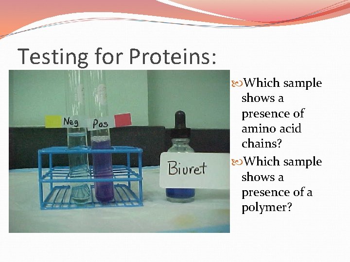 Testing for Proteins: Which sample shows a presence of amino acid chains? Which sample