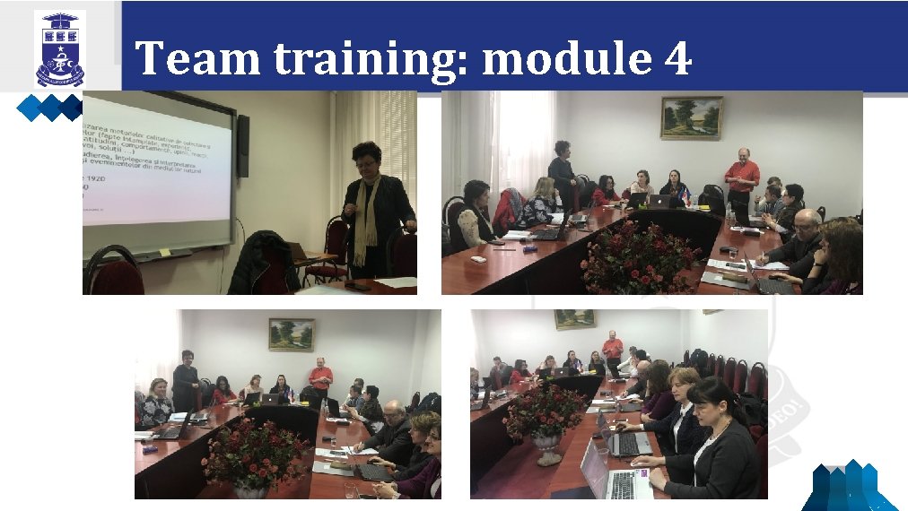 Team training: module 4 