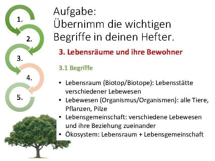 1. 2. Aufgabe: Übernimm die wichtigen Begriffe in deinen Hefter. 3. Lebensräume und ihre