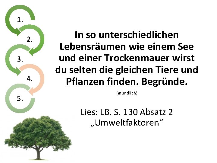 1. 2. 3. 4. 5. In so unterschiedlichen Lebensräumen wie einem See und einer