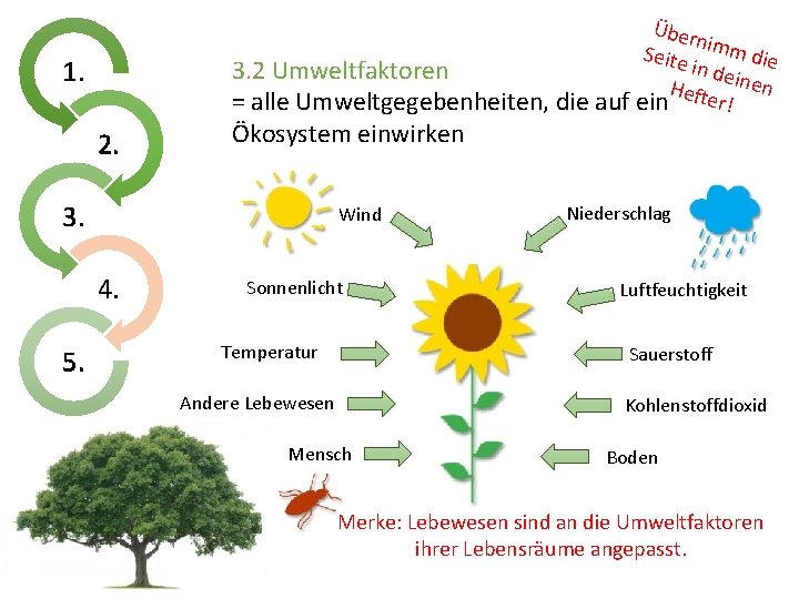 Über n Seite imm die in de 3. 2 Umweltfaktoren Hefte inen r! =