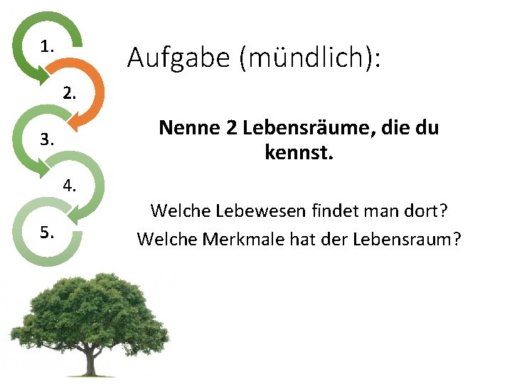 1. Aufgabe (mündlich): 2. Nenne 2 Lebensräume, die du kennst. 3. 4. 5. Welche