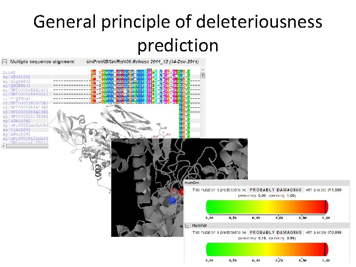 General principle of deleteriousness prediction 