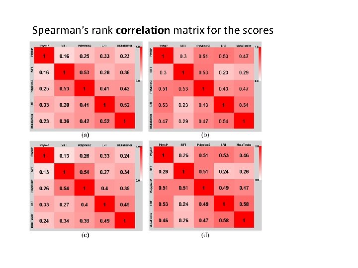 Spearman's rank correlation matrix for the scores 