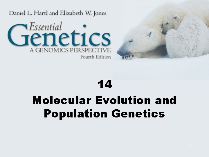 14 Molecular Evolution and Population Genetics 1 