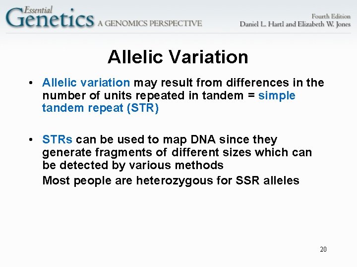 Allelic Variation • Allelic variation may result from differences in the number of units