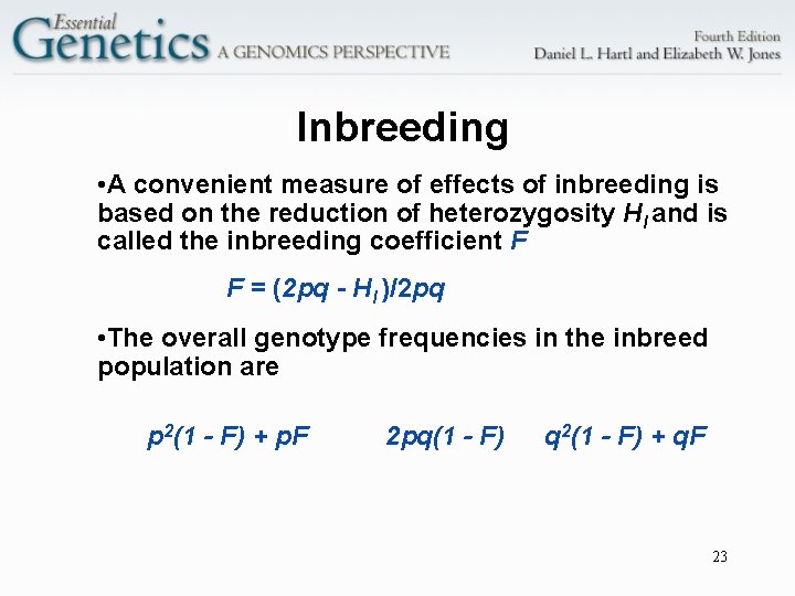 Inbreeding • A convenient measure of effects of inbreeding is based on the reduction