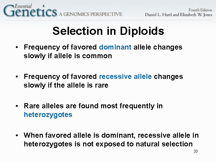 Selection in Diploids • Frequency of favored dominant allele changes slowly if allele is