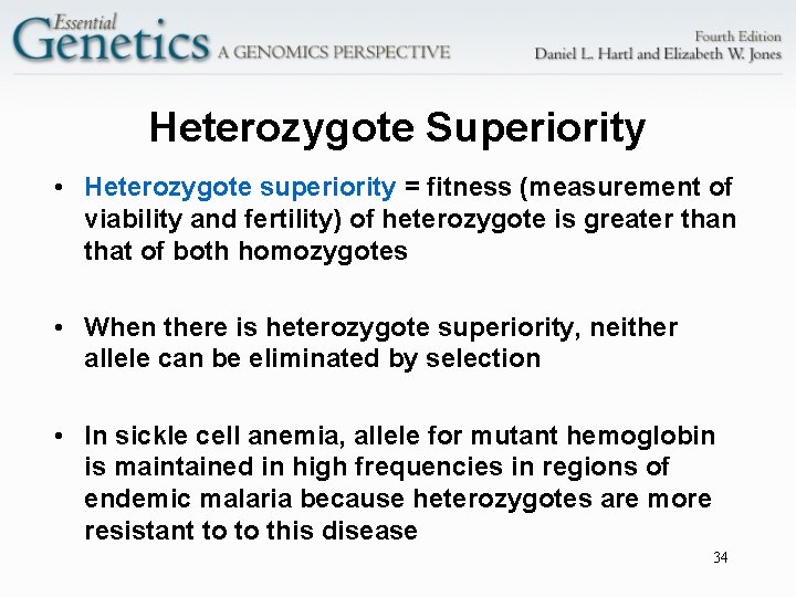 Heterozygote Superiority • Heterozygote superiority = fitness (measurement of viability and fertility) of heterozygote