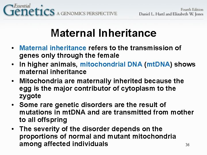 Maternal Inheritance • Maternal inheritance refers to the transmission of genes only through the