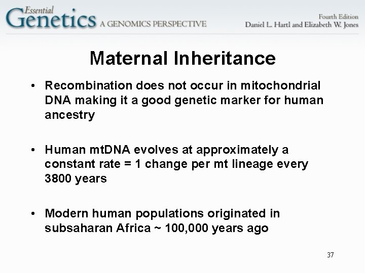 Maternal Inheritance • Recombination does not occur in mitochondrial DNA making it a good