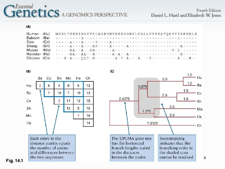 Fig. 14. 1 4 