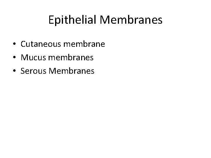 Epithelial Membranes • Cutaneous membrane • Mucus membranes • Serous Membranes 