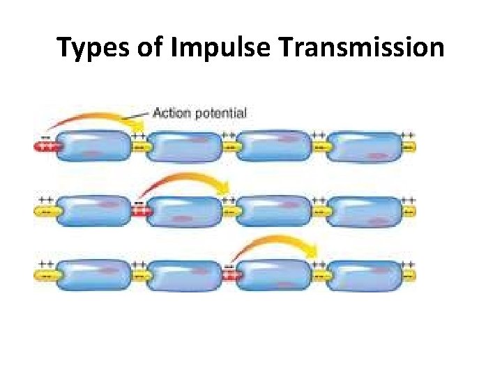 Types of Impulse Transmission 