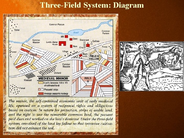Three-Field System: Diagram 