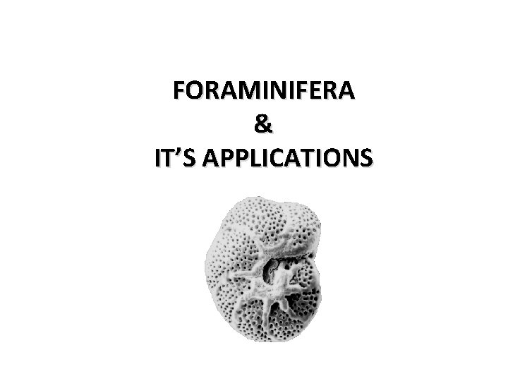 FORAMINIFERA & IT’S APPLICATIONS 