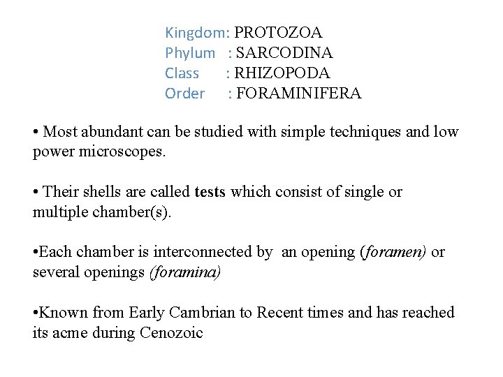 Kingdom: PROTOZOA Phylum : SARCODINA Class : RHIZOPODA Order : FORAMINIFERA • Most abundant