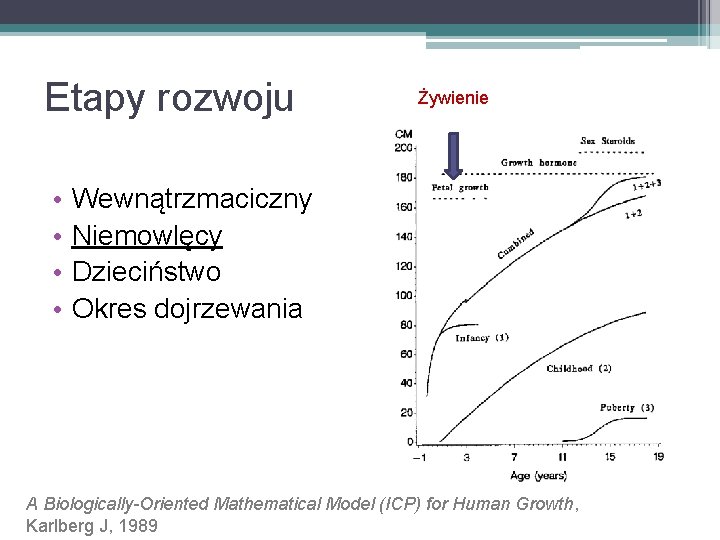 Etapy rozwoju • • Żywienie Wewnątrzmaciczny Niemowlęcy Dzieciństwo Okres dojrzewania A Biologically-Oriented Mathematical Model