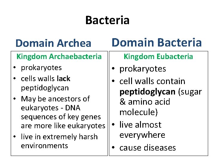 Bacteria Domain Archea Kingdom Archaebacteria • prokaryotes • cells walls lack peptidoglycan • May