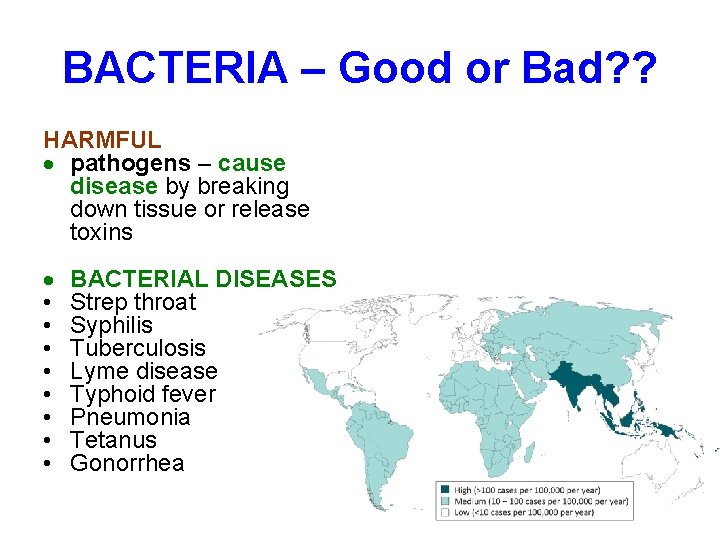 BACTERIA – Good or Bad? ? HARMFUL pathogens – cause disease by breaking down