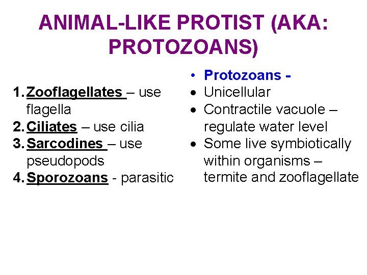 ANIMAL-LIKE PROTIST (AKA: PROTOZOANS) 1. Zooflagellates – use flagella 2. Ciliates – use cilia
