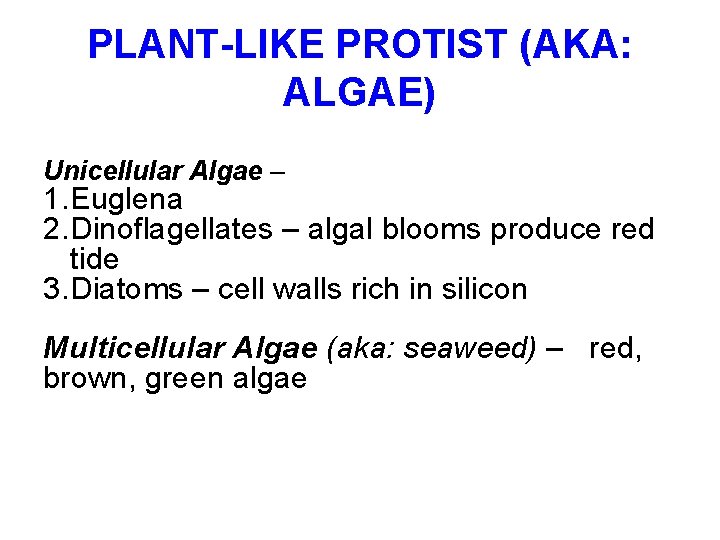 PLANT-LIKE PROTIST (AKA: ALGAE) Unicellular Algae – 1. Euglena 2. Dinoflagellates – algal blooms