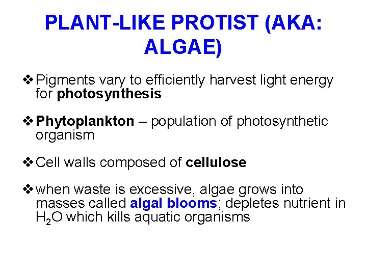 PLANT-LIKE PROTIST (AKA: ALGAE) Pigments vary to efficiently harvest light energy for photosynthesis Phytoplankton