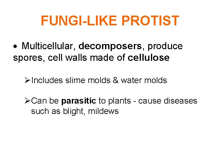 FUNGI-LIKE PROTIST Multicellular, decomposers, produce spores, cell walls made of cellulose Includes slime molds