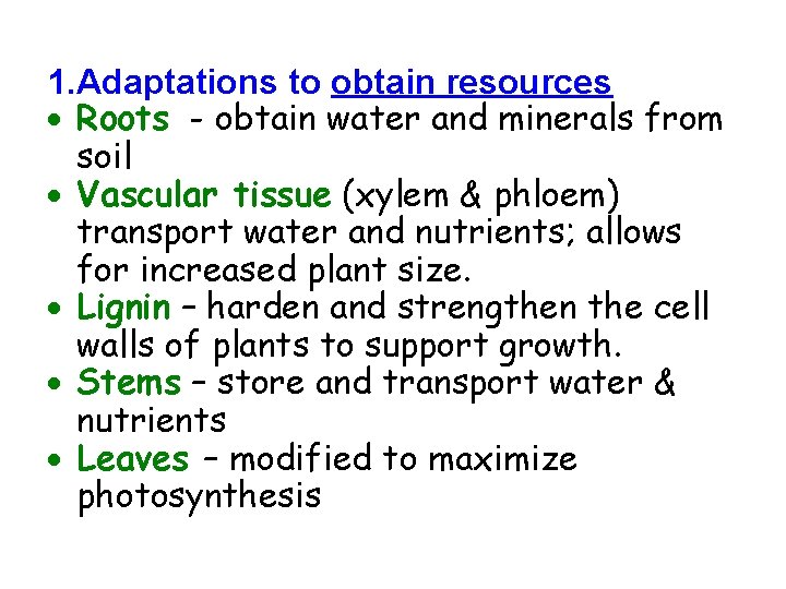 1. Adaptations to obtain resources Roots - obtain water and minerals from soil Vascular