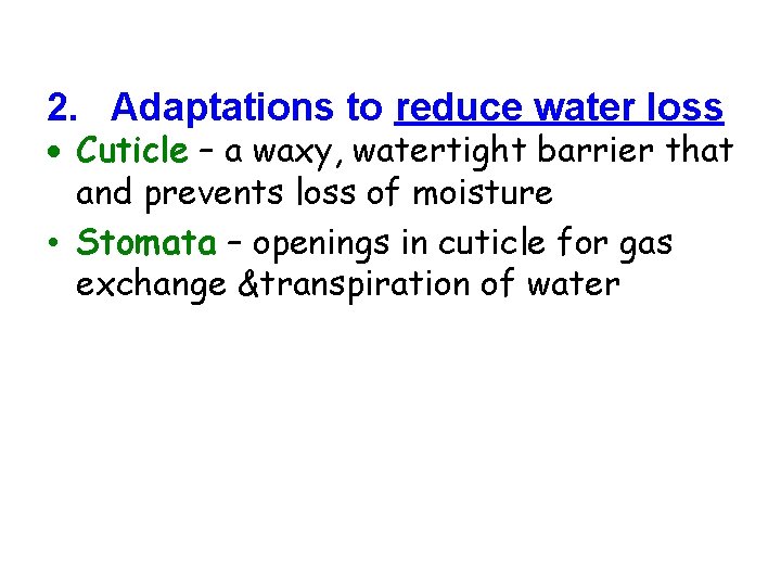 2. Adaptations to reduce water loss Cuticle – a waxy, watertight barrier that and