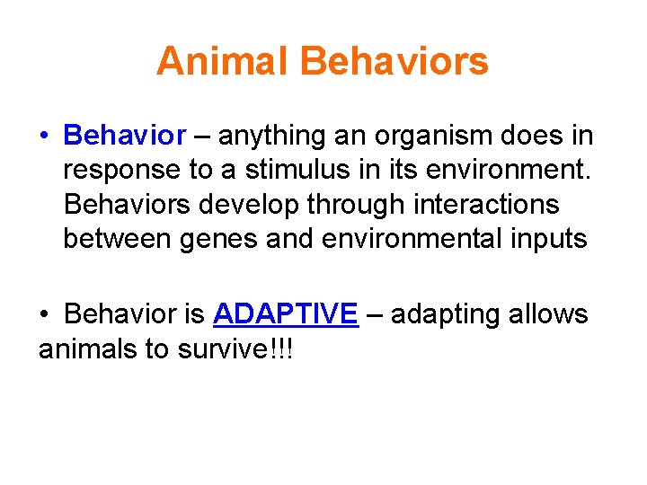 Animal Behaviors • Behavior – anything an organism does in response to a stimulus