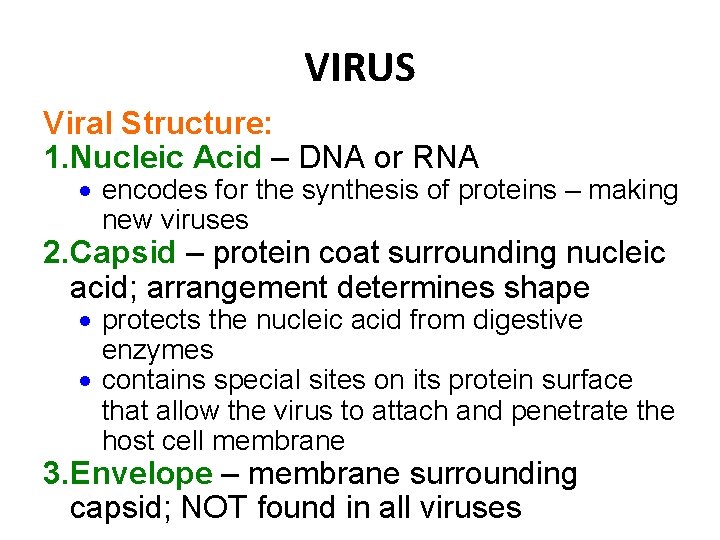 VIRUS Viral Structure: 1. Nucleic Acid – DNA or RNA encodes for the synthesis
