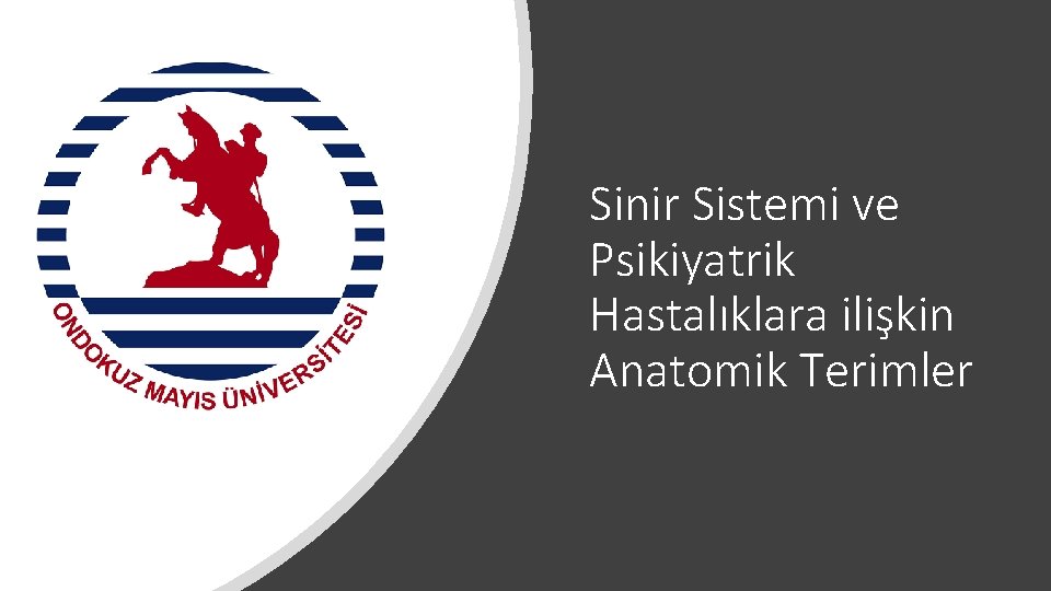 Sinir Sistemi ve Psikiyatrik Hastalıklara ilişkin Anatomik Terimler 