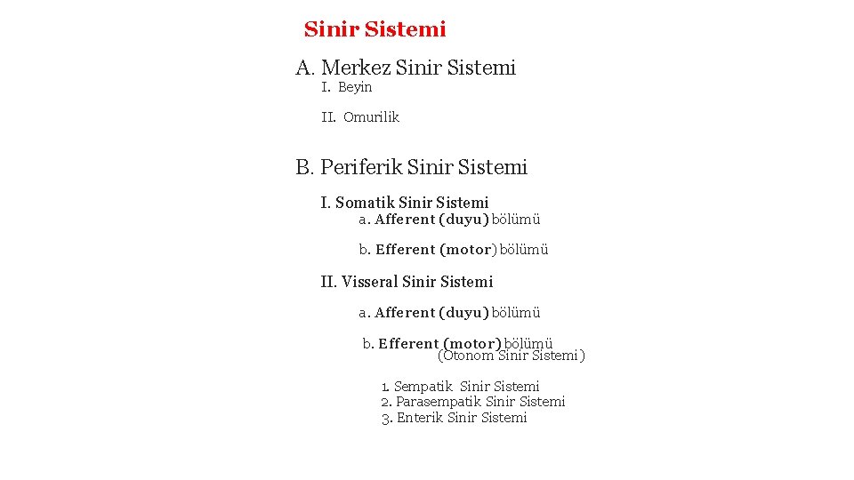 Sinir Sistemi A. Merkez Sinir Sistemi I. Beyin II. Omurilik B. Periferik Sinir Sistemi