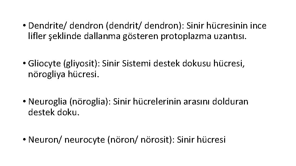  • Dendrite/ dendron (dendrit/ dendron): Sinir hücresinin ince lifler şeklinde dallanma gösteren protoplazma