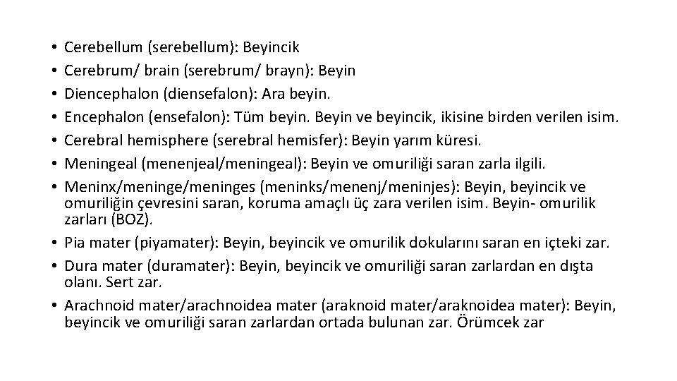 Cerebellum (serebellum): Beyincik Cerebrum/ brain (serebrum/ brayn): Beyin Diencephalon (diensefalon): Ara beyin. Encephalon (ensefalon):