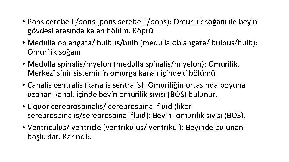  • Pons cerebelli/pons (pons serebelli/pons): Omurilik soğanı ile beyin gövdesi arasında kalan bölüm.