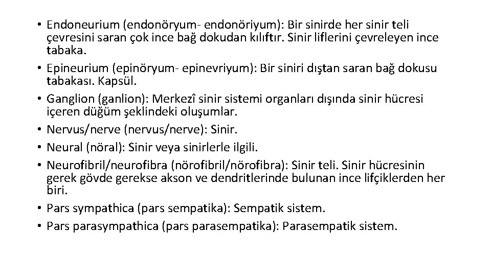  • Endoneurium (endonöryum- endonöriyum): Bir sinirde her sinir teli çevresini saran çok ince