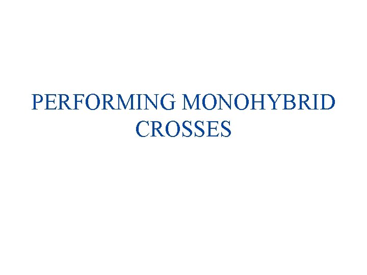 PERFORMING MONOHYBRID CROSSES 