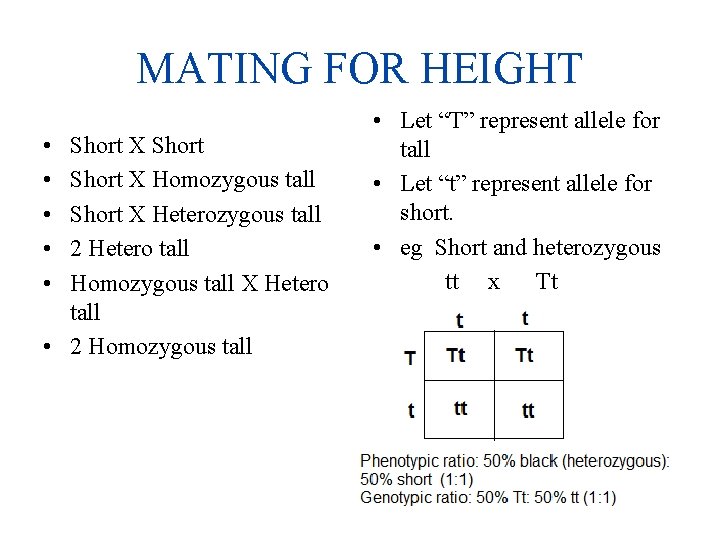 MATING FOR HEIGHT • • • Short X Homozygous tall Short X Heterozygous tall