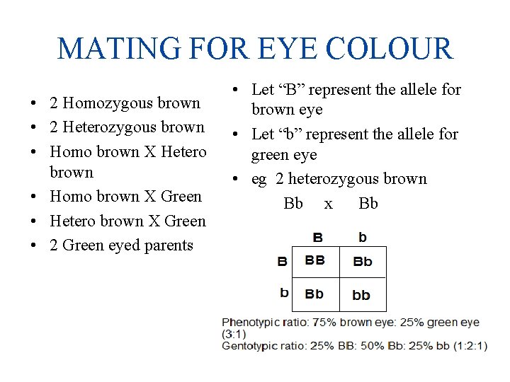 MATING FOR EYE COLOUR • 2 Homozygous brown • 2 Heterozygous brown • Homo