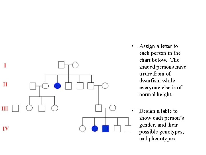  • Assign a letter to each person in the chart below. The shaded