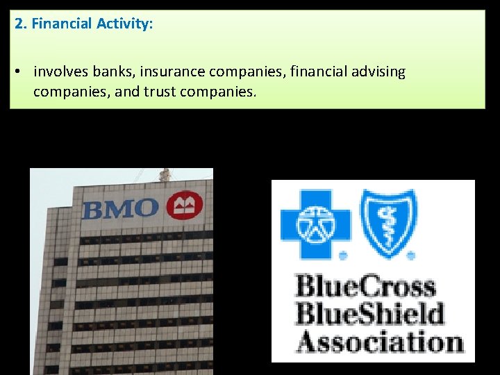 2. Financial Activity: • involves banks, insurance companies, financial advising companies, and trust companies.