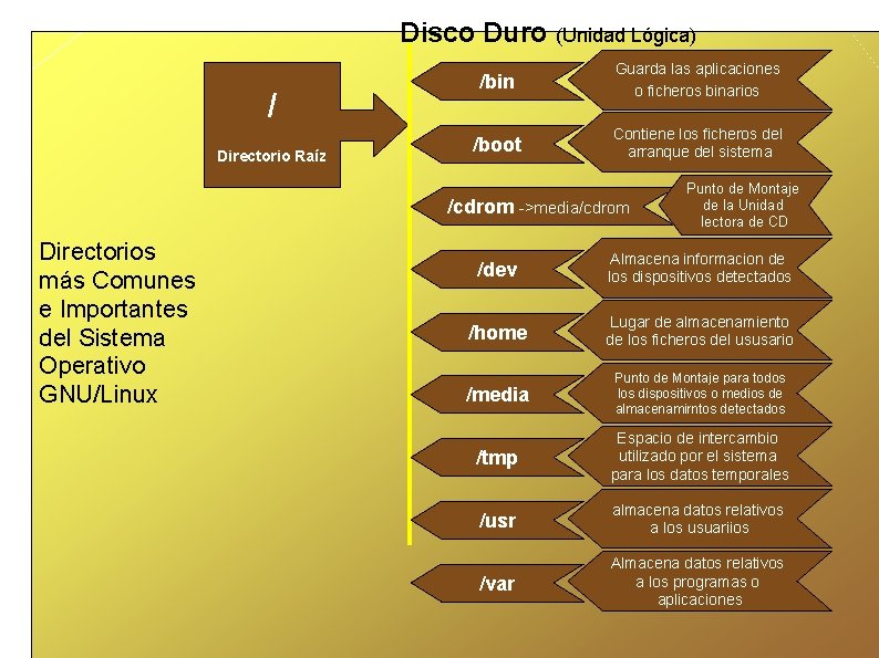 Disco Duro (Unidad Lógica) / Directorio Raíz /bin Guarda las aplicaciones o ficheros binarios