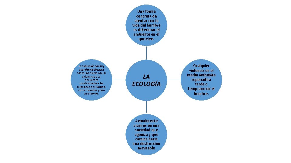 Una forma concreta de atentar con la vida del hombre es deteriorar el ambiente