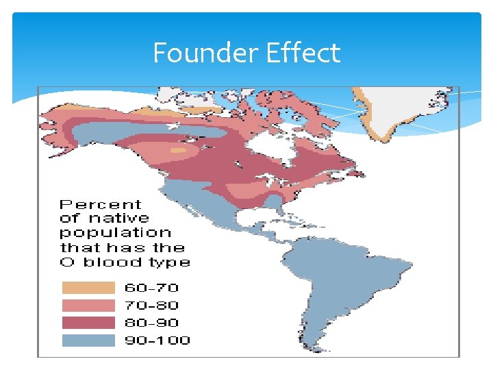 Founder Effect 