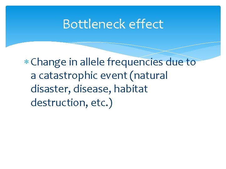 Bottleneck effect Change in allele frequencies due to a catastrophic event (natural disaster, disease,