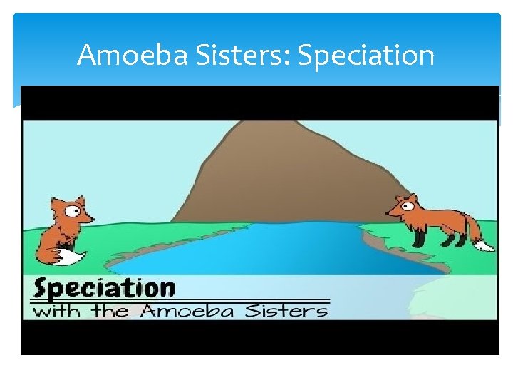 Amoeba Sisters: Speciation 