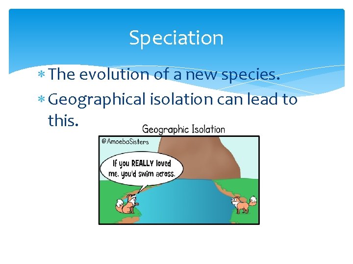 Speciation The evolution of a new species. Geographical isolation can lead to this. 