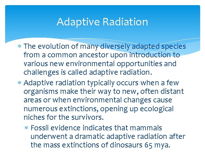 Adaptive Radiation The evolution of many diversely adapted species from a common ancestor upon